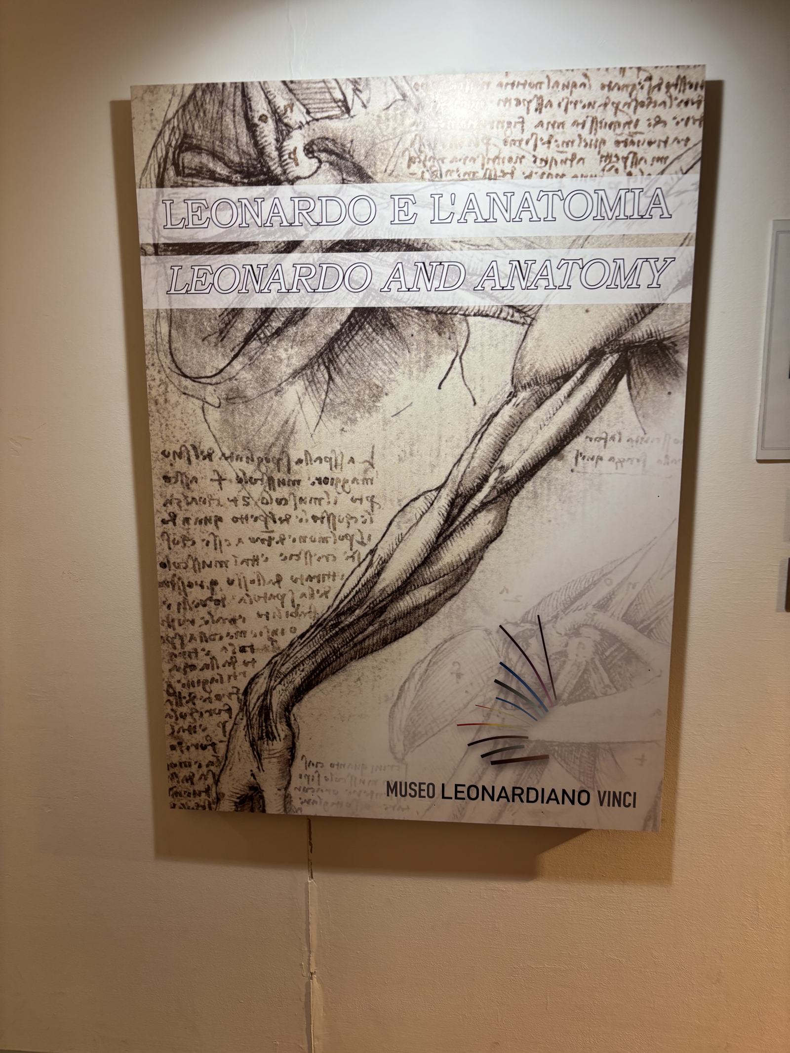 Nahaufnahme eines Ausstellungsplakats mit dem Titel "Leonardo e l'Anatomia / Leonardo and Anatomy" und einer Zeichnung eines menschlichen Arms. Unten ist "Museo Leonardiano Vinci" zu lesen.